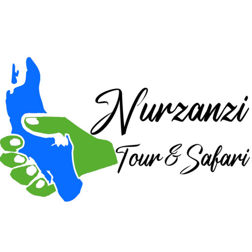 Nurzanzi Tours & Safaris