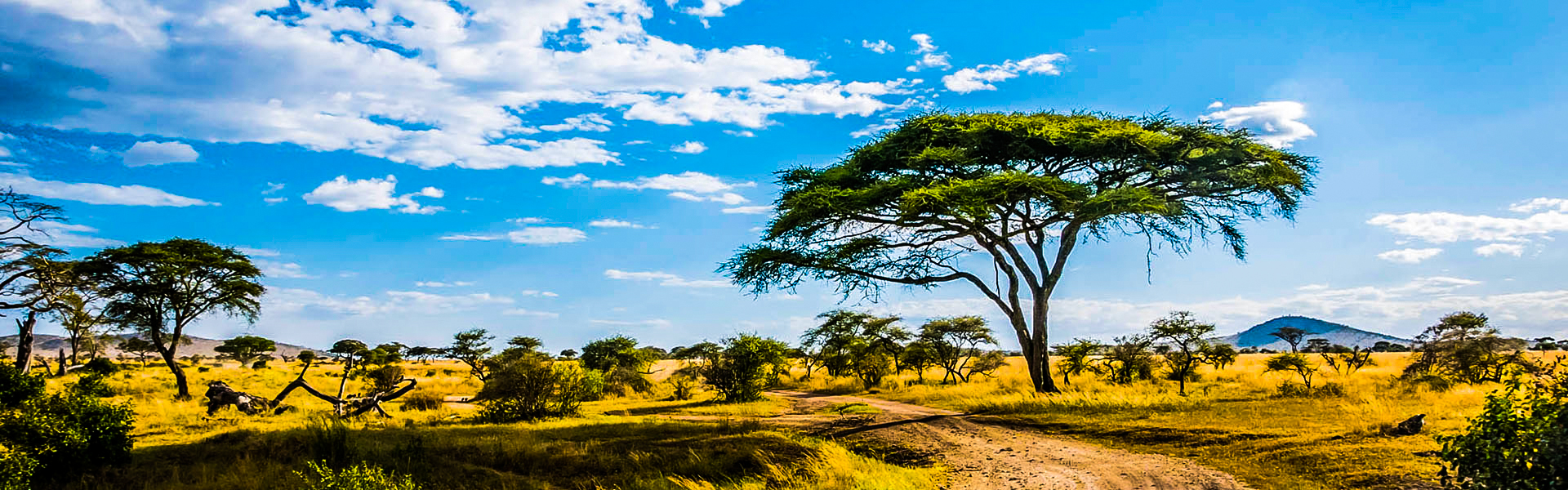 Tanzania National Parks